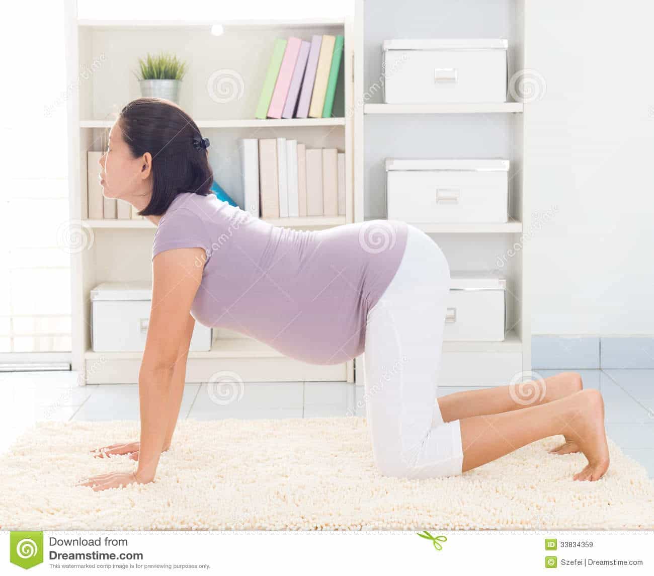 Prenatal Yoga at Home Online 2016