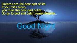 good night wishes for friends in english
