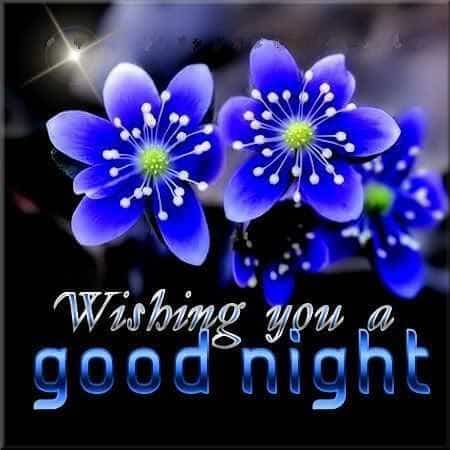 good night dear sweet dreams