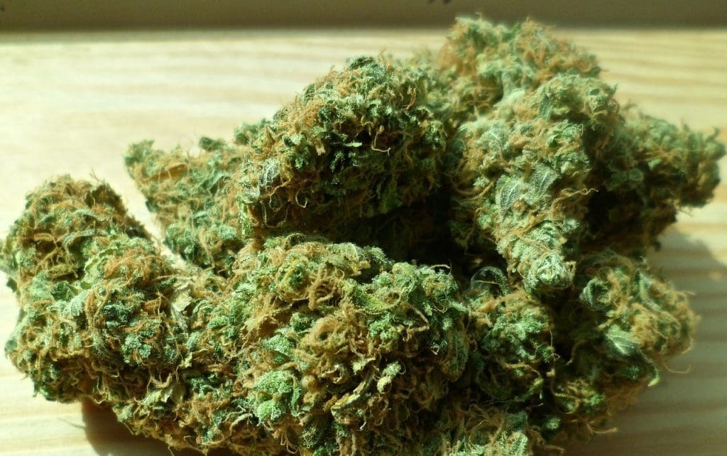 Marijuana From a Dispensary