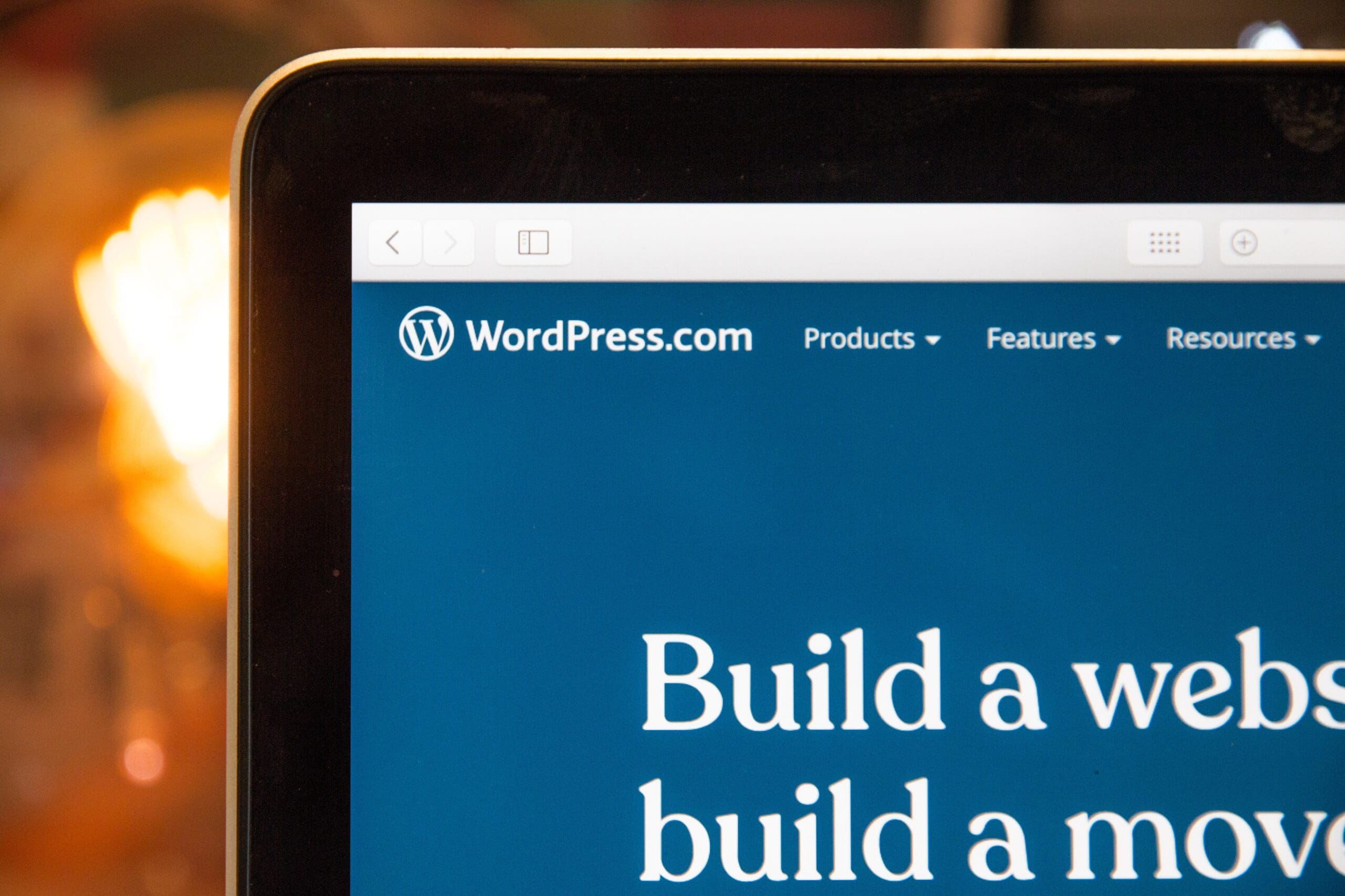 WordPress SEO