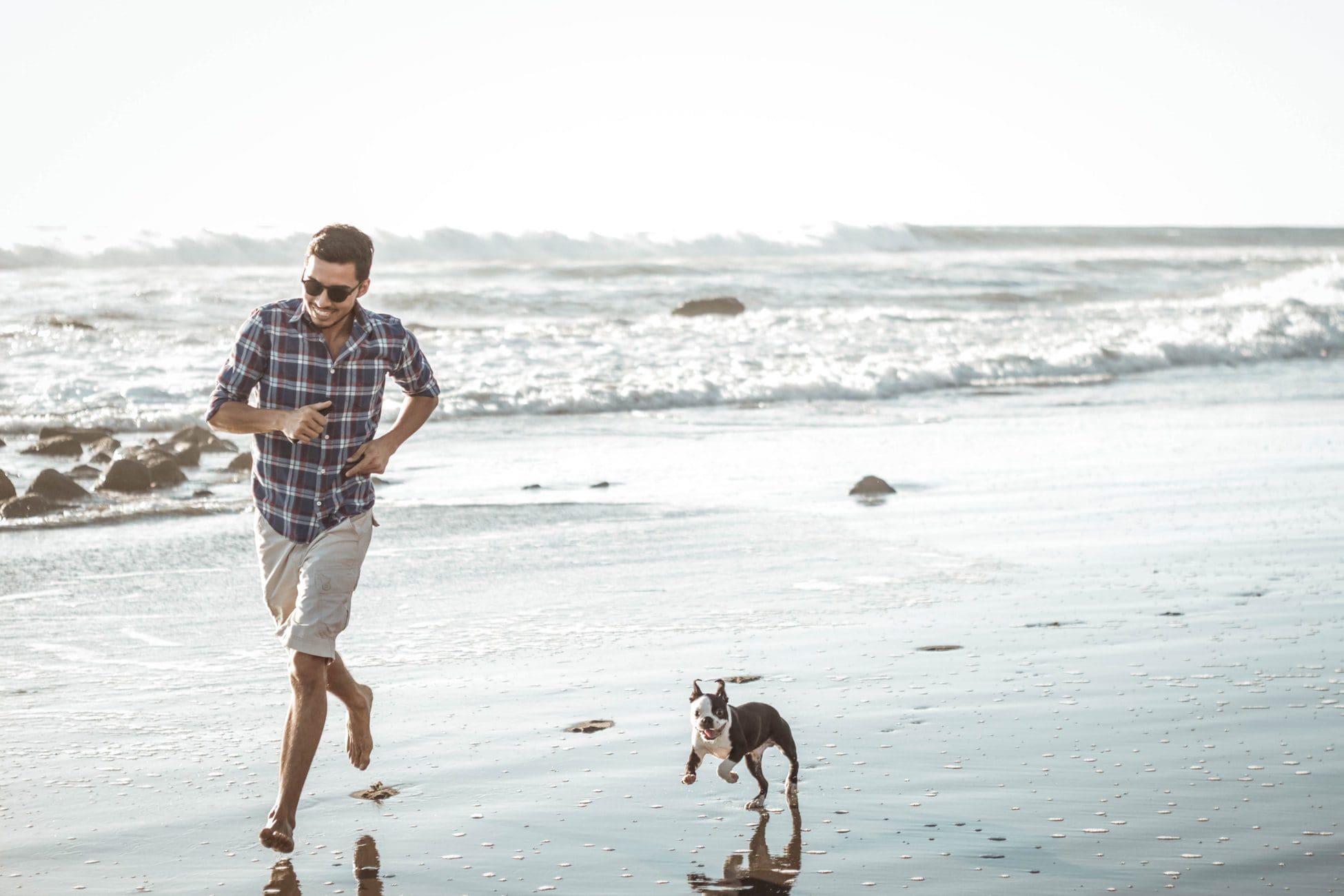 Running with Your Dog