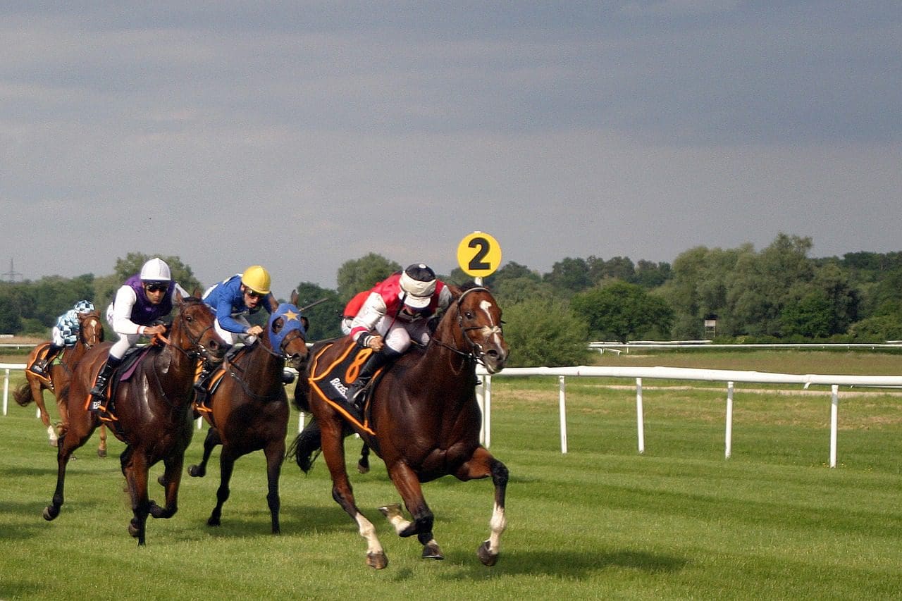 The Craziest Things You Can Possibly Bet On